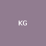 Kyrgyz Som Stablecoin